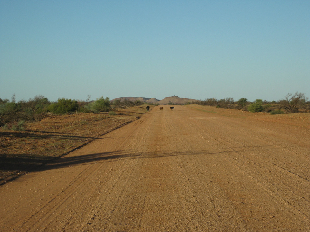 Ernest Giles Road-爱丽斯泉必去景点