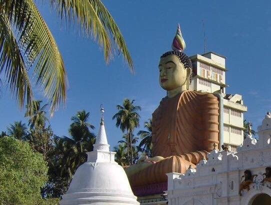 Saman Homestay主图