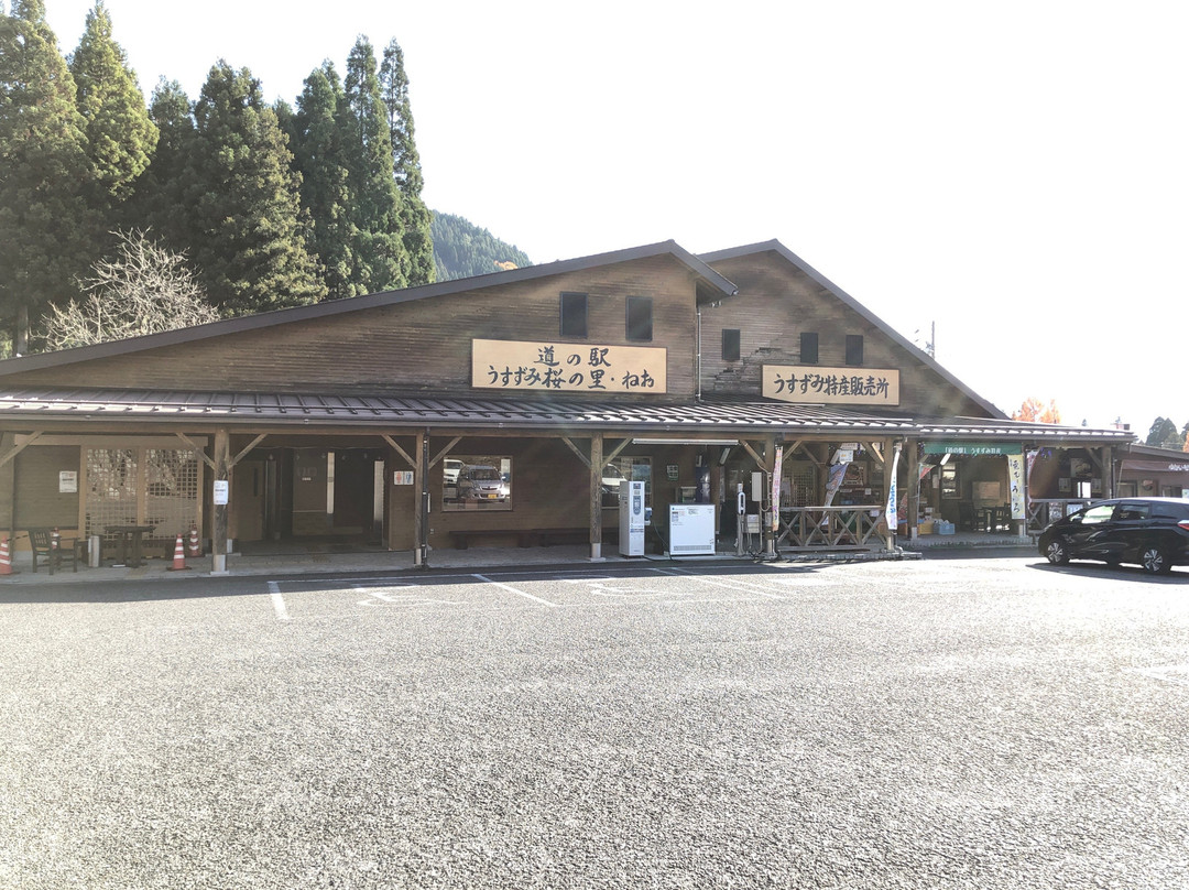 Michi-no-Eki -Usuzumi Village of Cherry Tree , Neo-本巢市必去景点