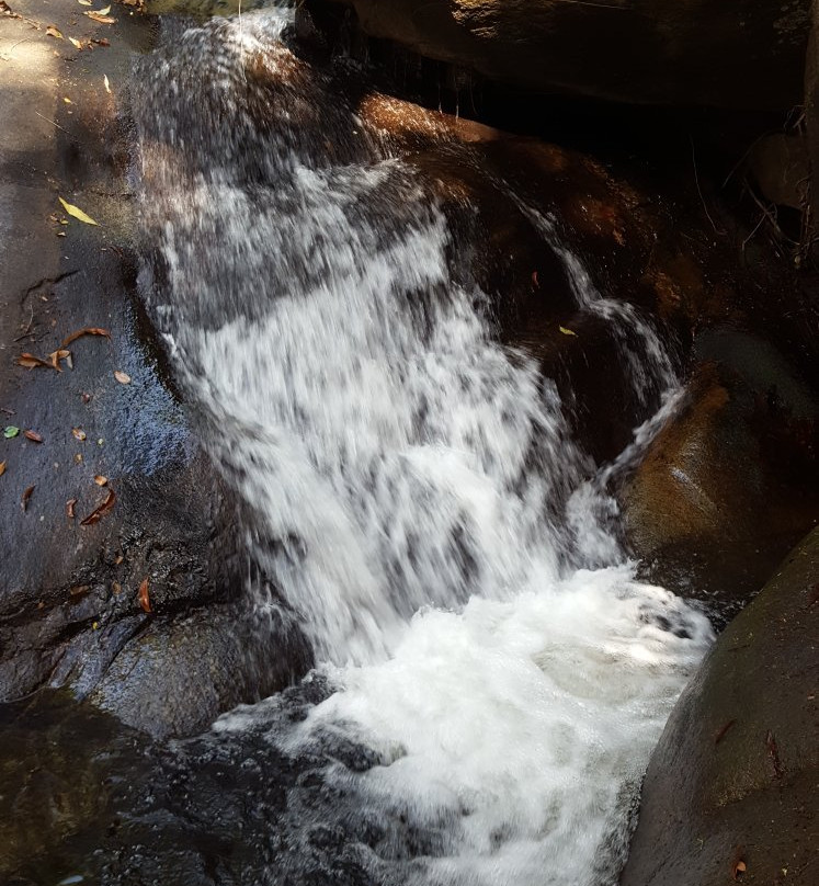 Khao Chamao Khao Wong National Park景点图片