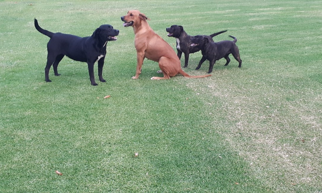 Kurland Park Accommodation主图