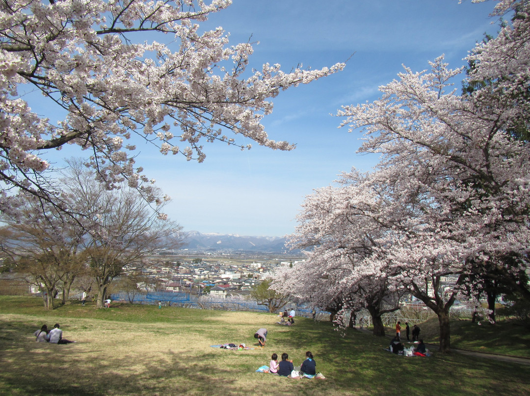 Sagae Park-寒河江市必去景点
