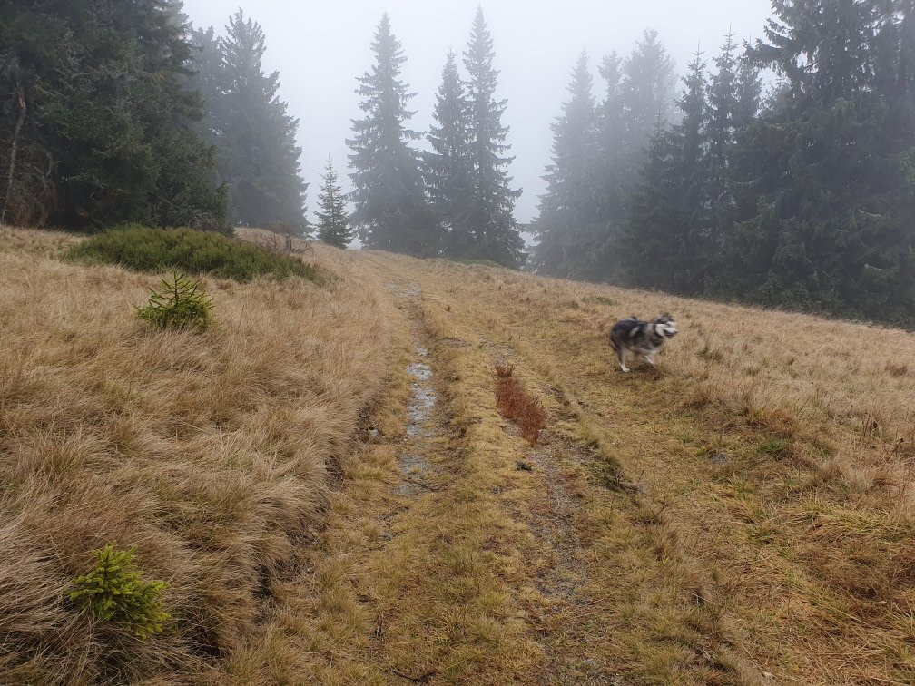 Horsky Hotel Granit Smrekovica主图