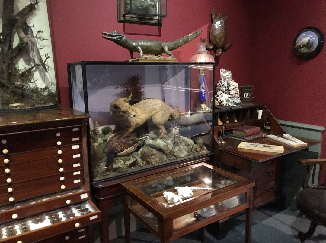 Booth Museum of Natural History-布莱顿必去景点
