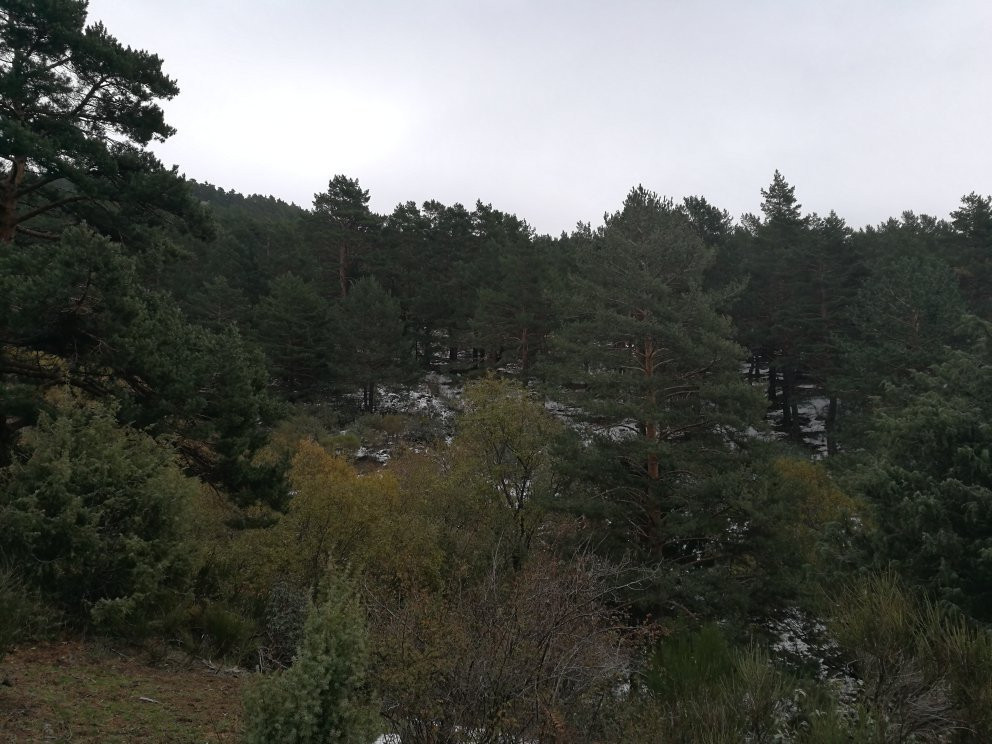 Ruta del Valle de la Barranca-Navacerrada必去景点