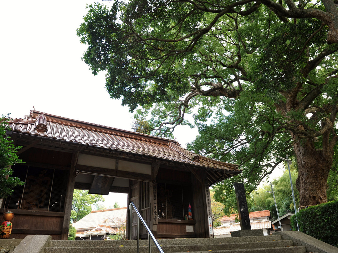Tada-ji Temple-滨田市必去景点