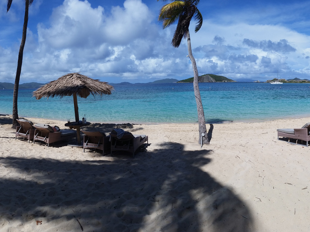 Dolphin Water Taxi-圣 托马斯必去景点