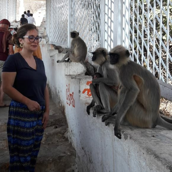Anegundi Fort-亨比必去景点