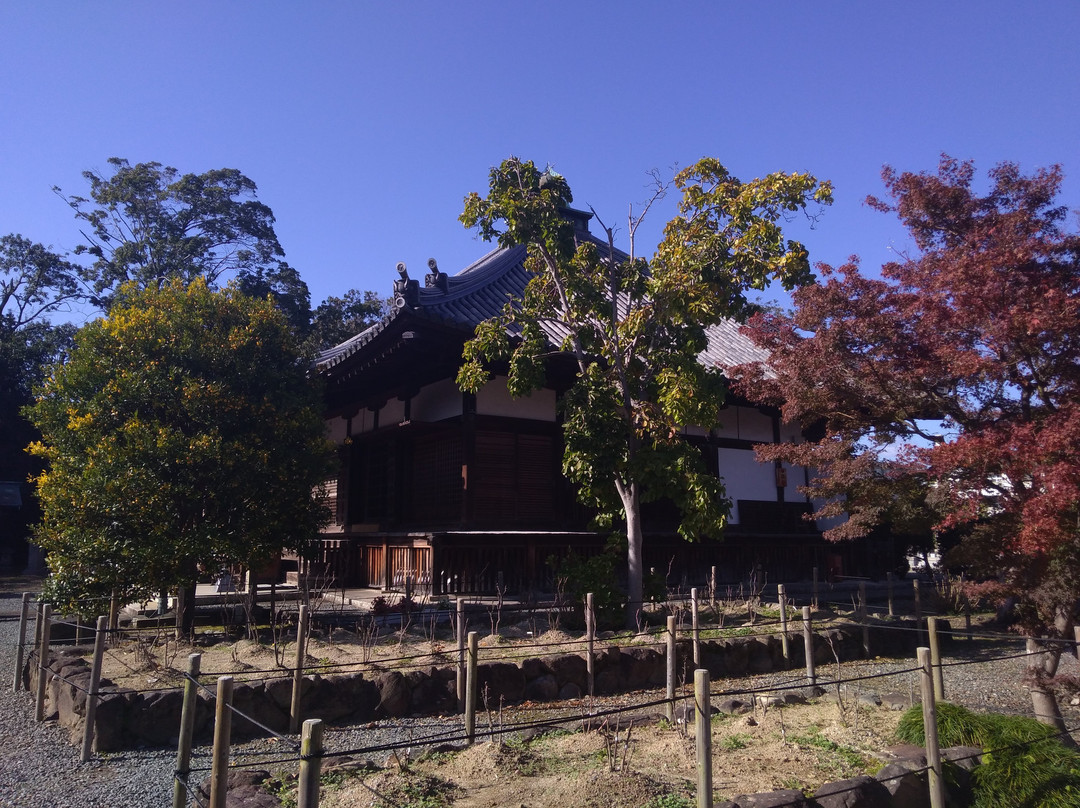 Otokunidera Temple-长冈京市必去景点