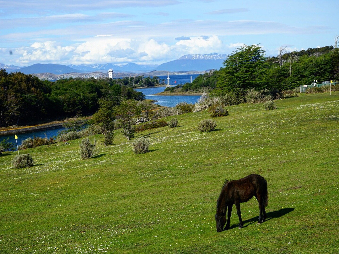 Lodge Lakutaia主图