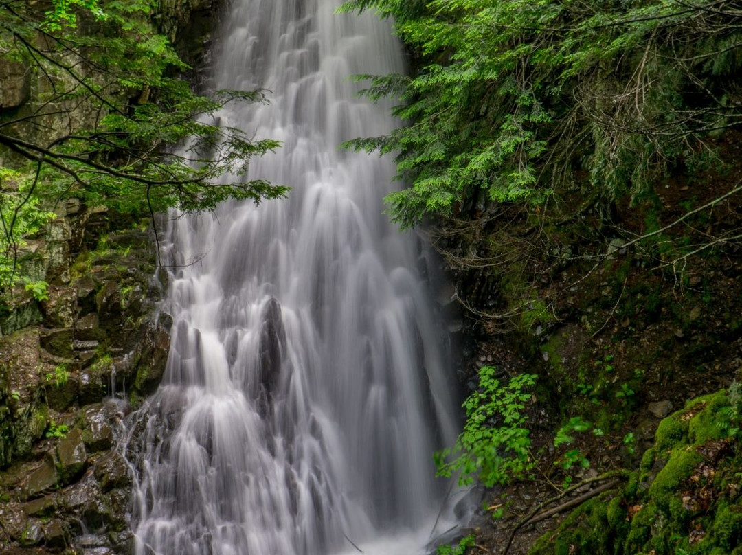 Mosher Hill Falls景点图片