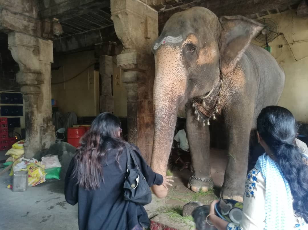 Ucchi Pillayar Temple-泰米尔纳德邦必去景点