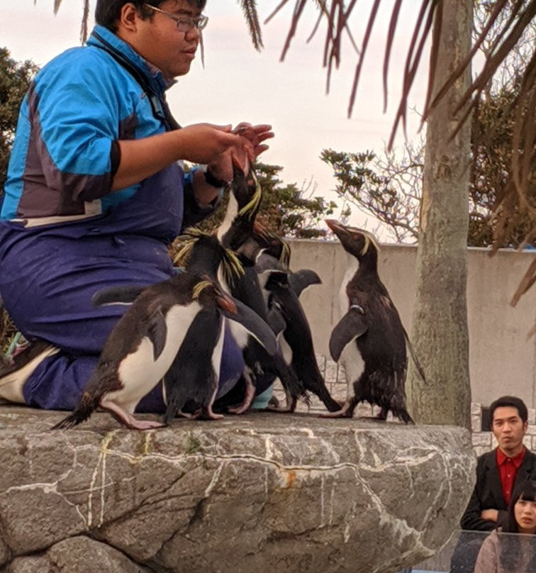 Keikyu Aburatsubo Marine Park-三浦市必去景点