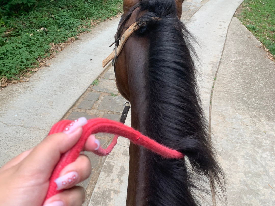 Rancho da Ferradura主图