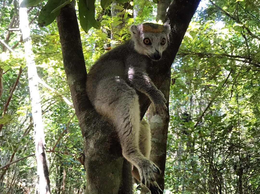 WAU Madagascar景点图片