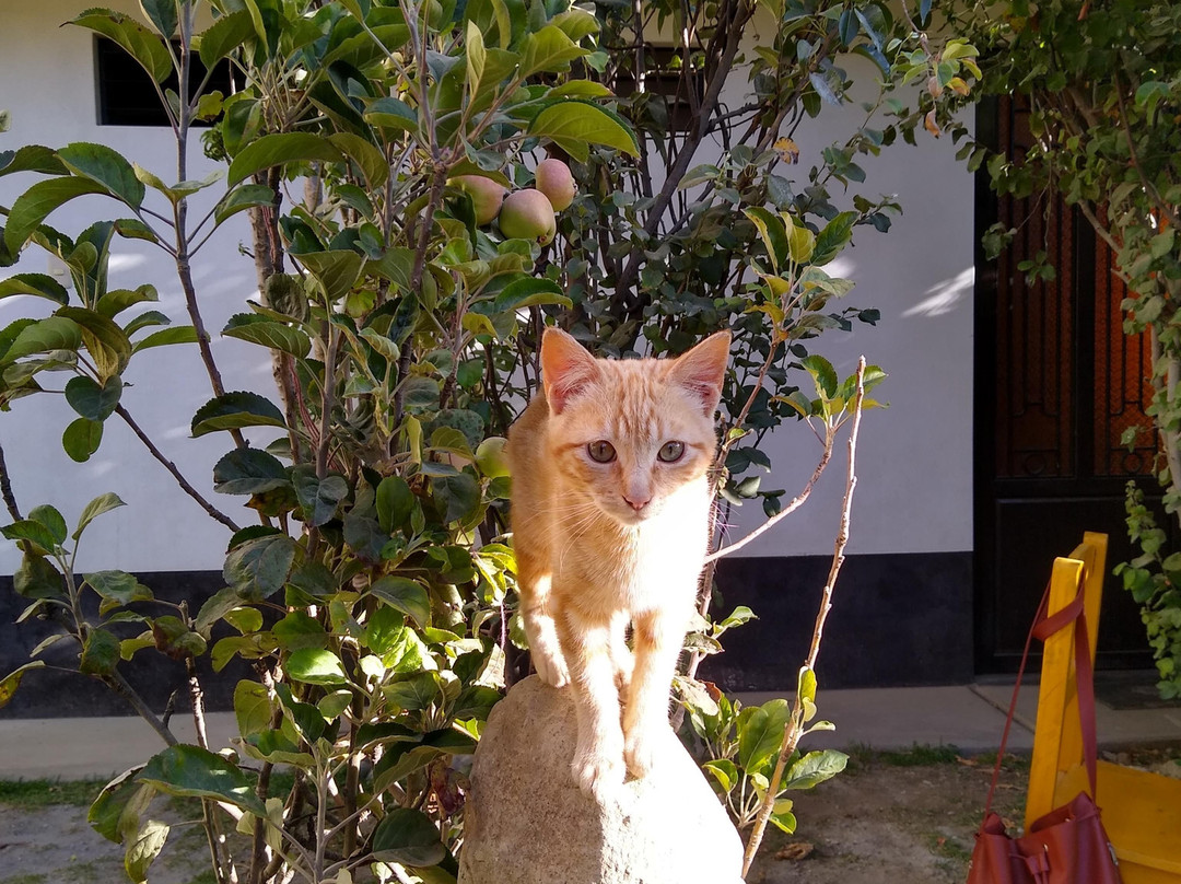 Hostal Casa del Montañista主图