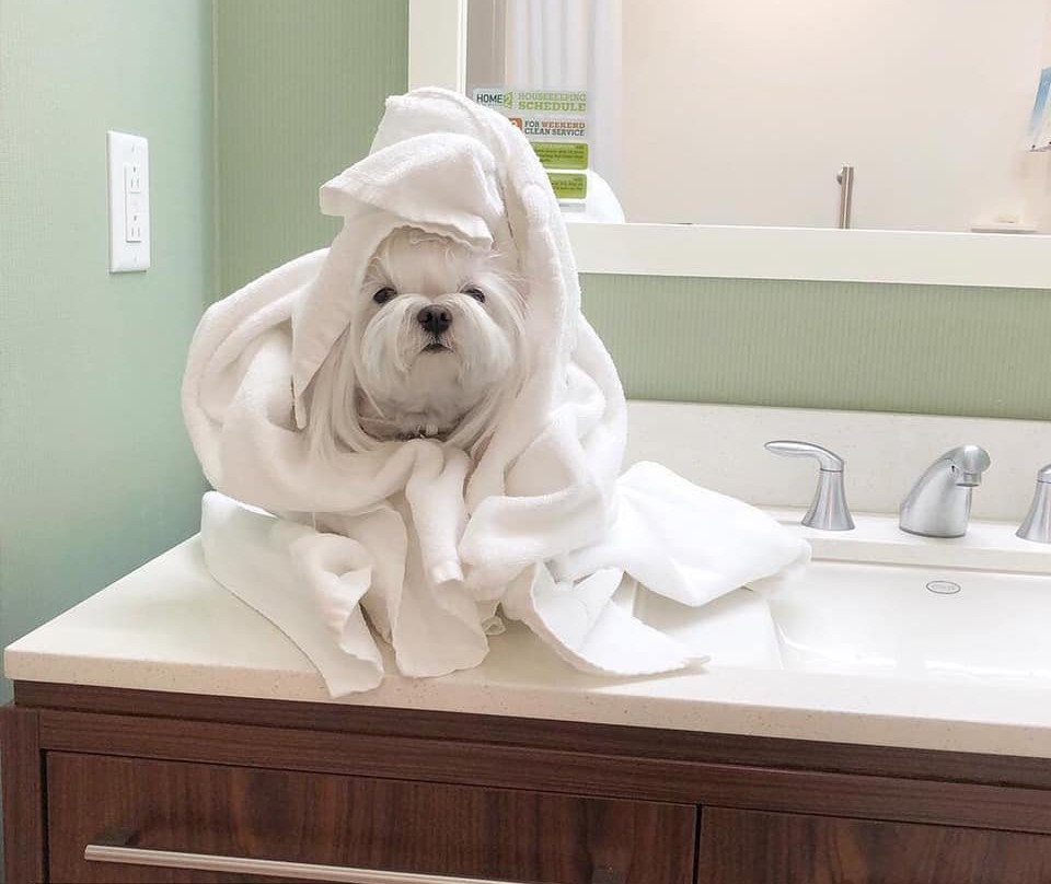 Home2 Suites by Hilton Bellingham Airport主图