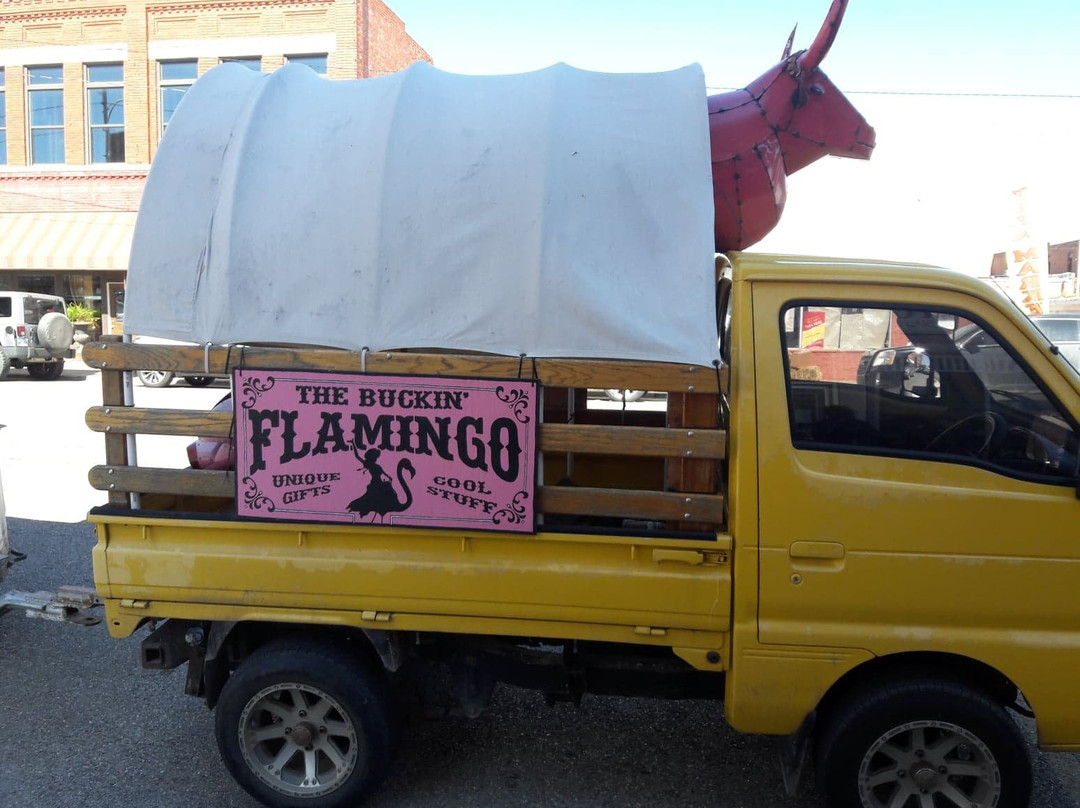 The Buckin' Flamingo