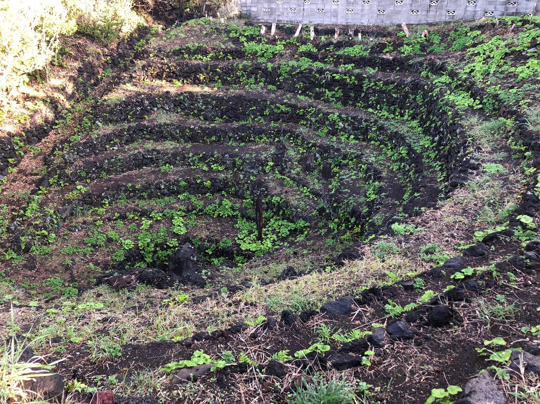 Yaene no Mettoido-八丈岛必去景点