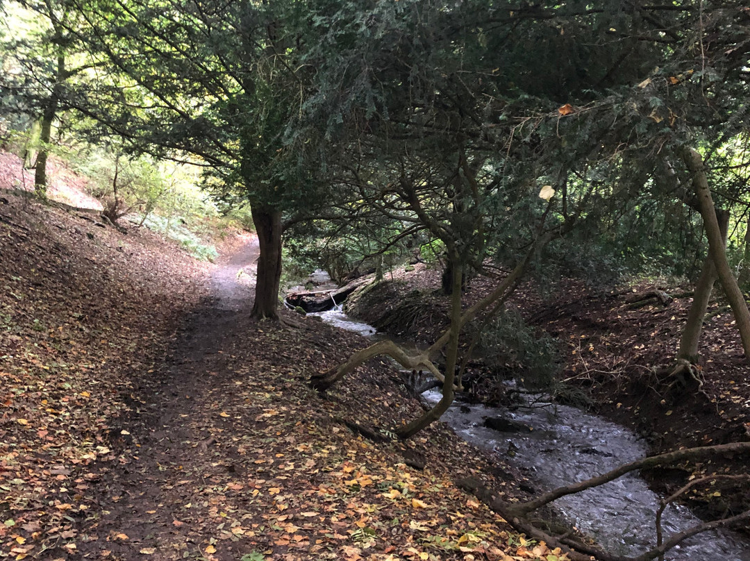 Rectory Wood & Field景点图片