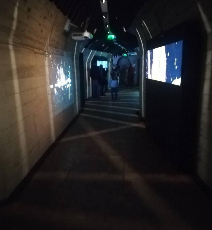 The Time Tunnel景点图片