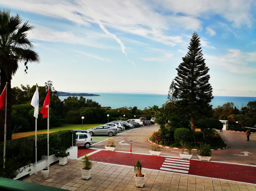 Hotel Sidi Bou Said主图
