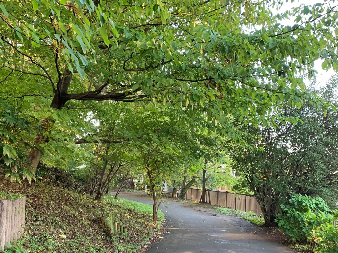 Egota-no-Mori Park-中野区必去景点