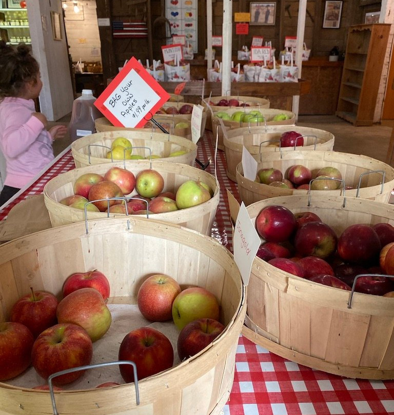 Irons Fruit Farm-Lebanon必去景点