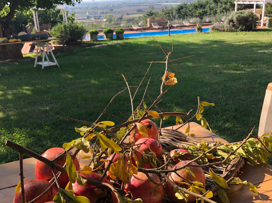 卡萨莱吉安切莎雷酒店主图