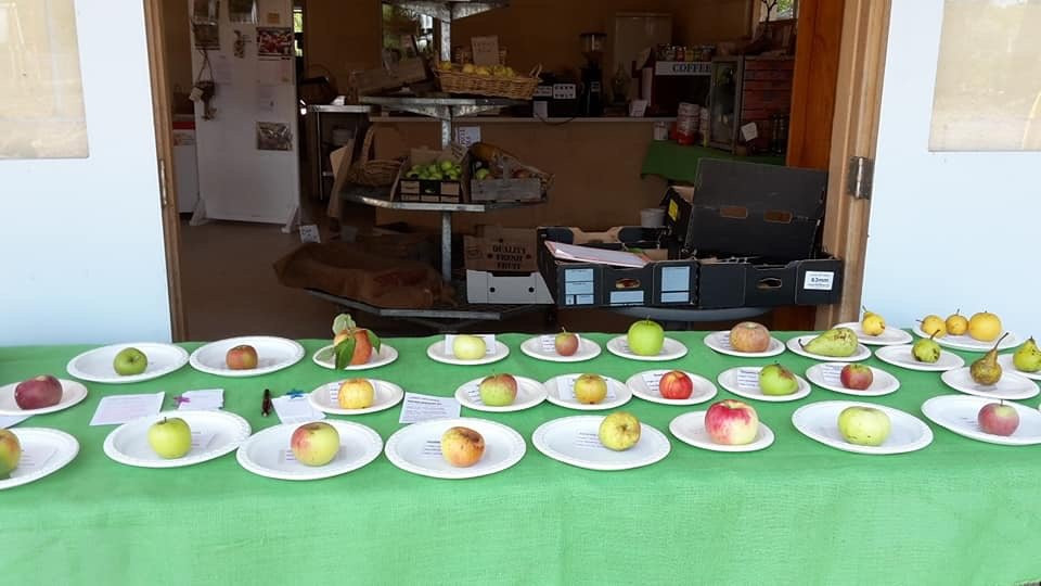 Lomas Orchards-Wallington必去景点