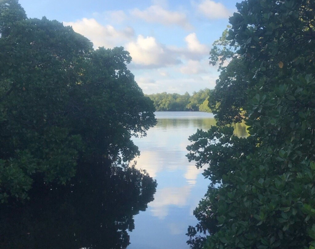 Pearl of Afrika主图