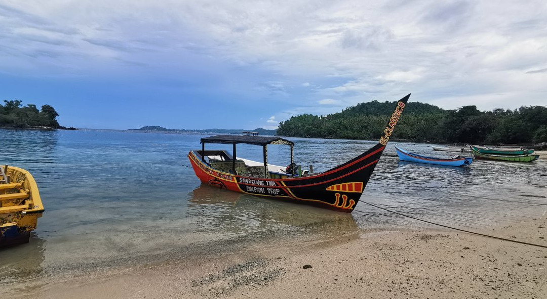 Blue Water Dolphin Tours Pulau Weh-韦岛必去景点