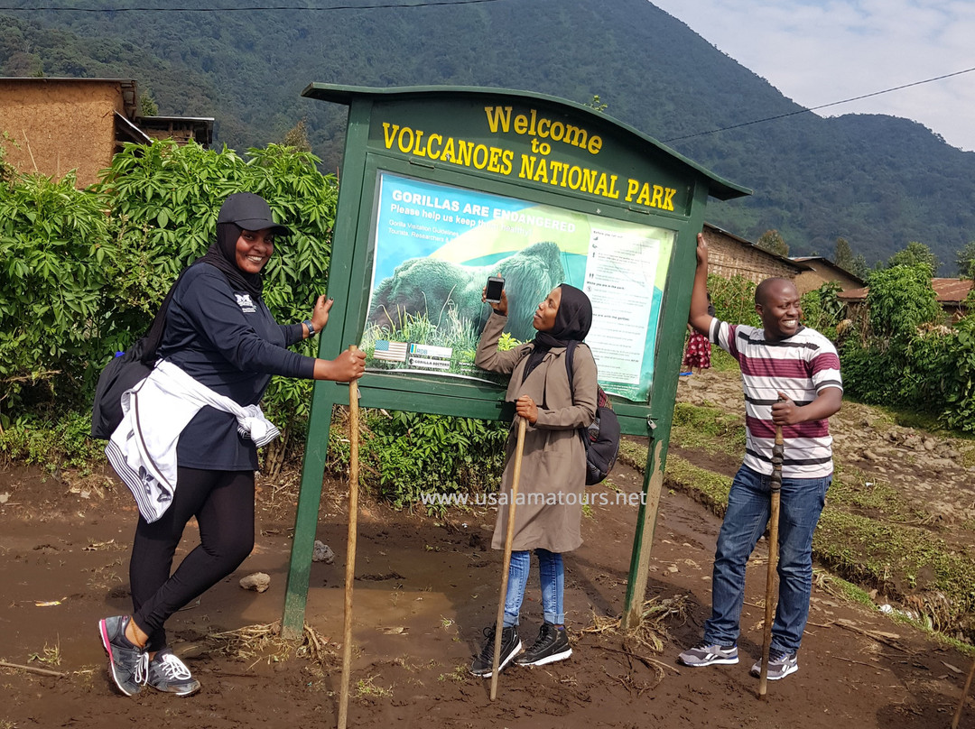 Volcanoes National Park-Ruhengeri必去景点