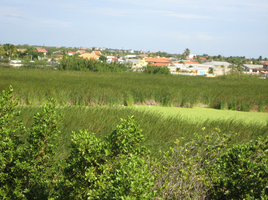 Bubali Bird Sanctuary景点图片