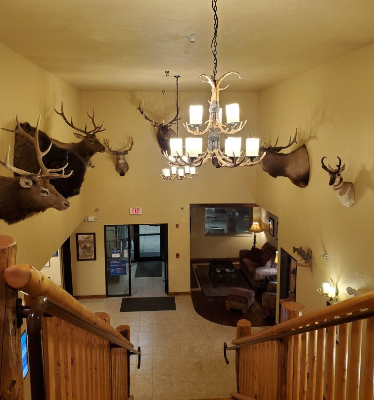 Best Western Devils Tower Inn主图