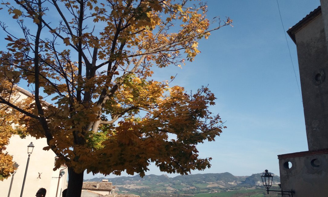 Chiesa di San Lorenzo景点图片