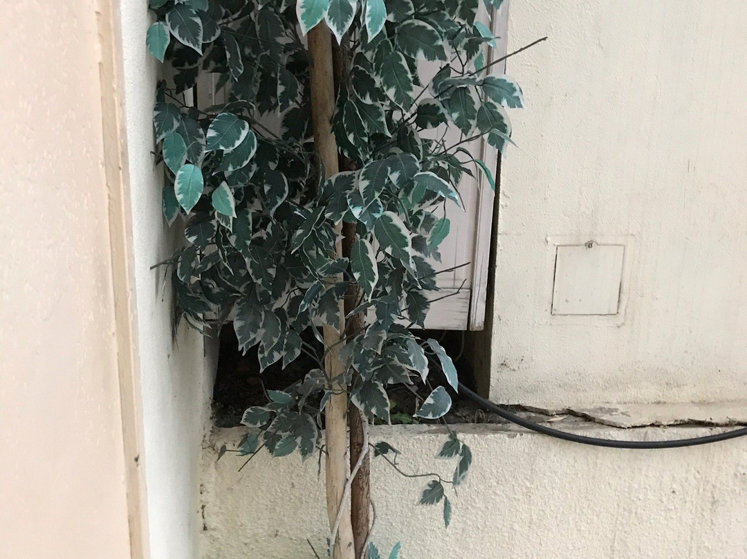 Auberge la Couronne主图