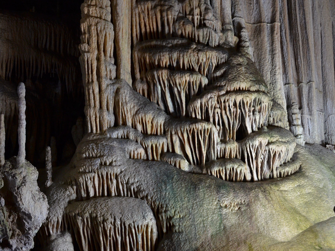 Coves de Campanet景点图片