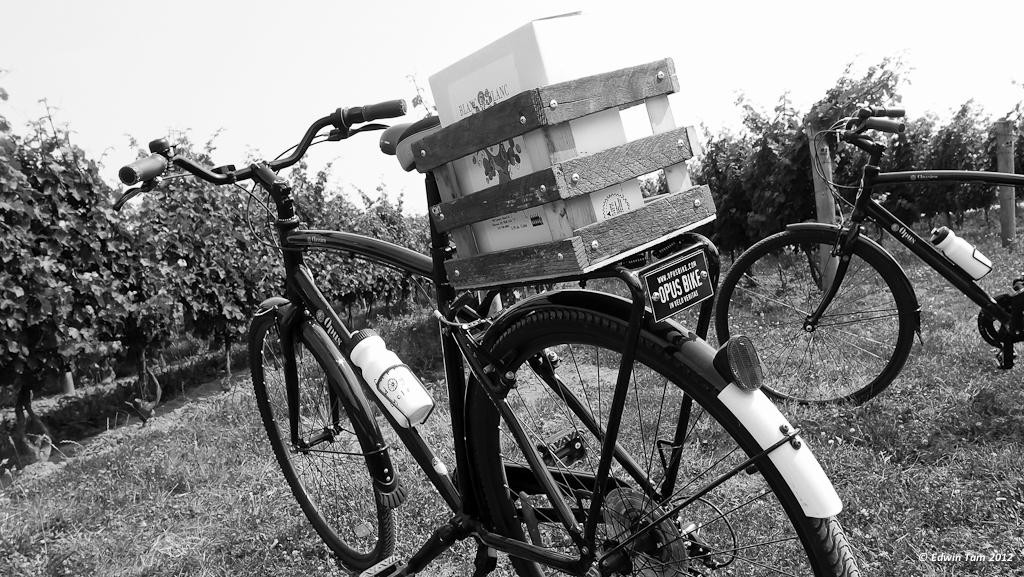 Farm Dog Cycles-Harrow必去景点