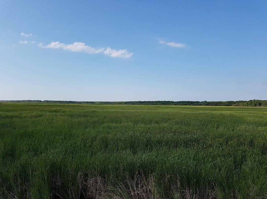 Lundar Beach Provincial Park景点图片