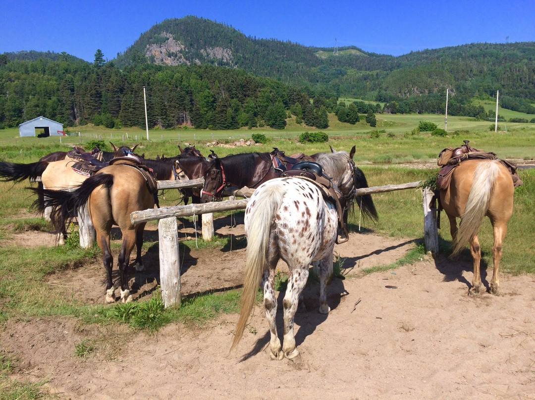 Centre Equestre des Plateaux景点图片