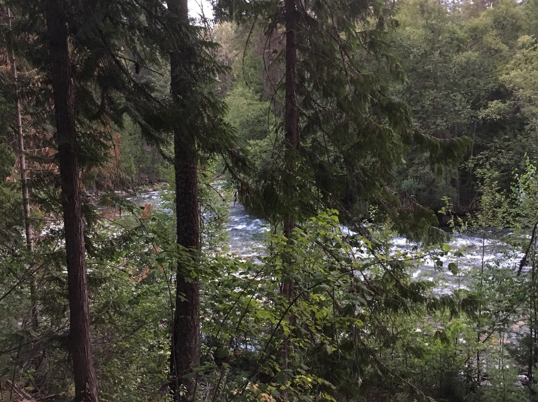 Kaslo River Trail景点图片