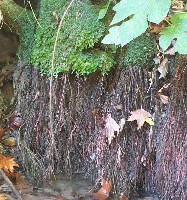 Walking Route Kavalos - Melissa Gorge-Kavallos必去景点