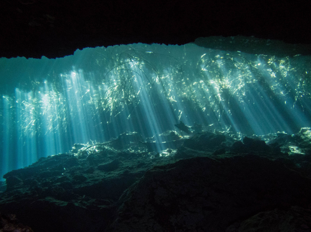 Infinity 2 Diving
