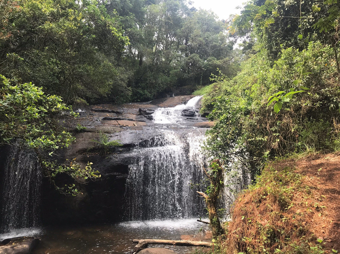 Zomba Plateau景点图片