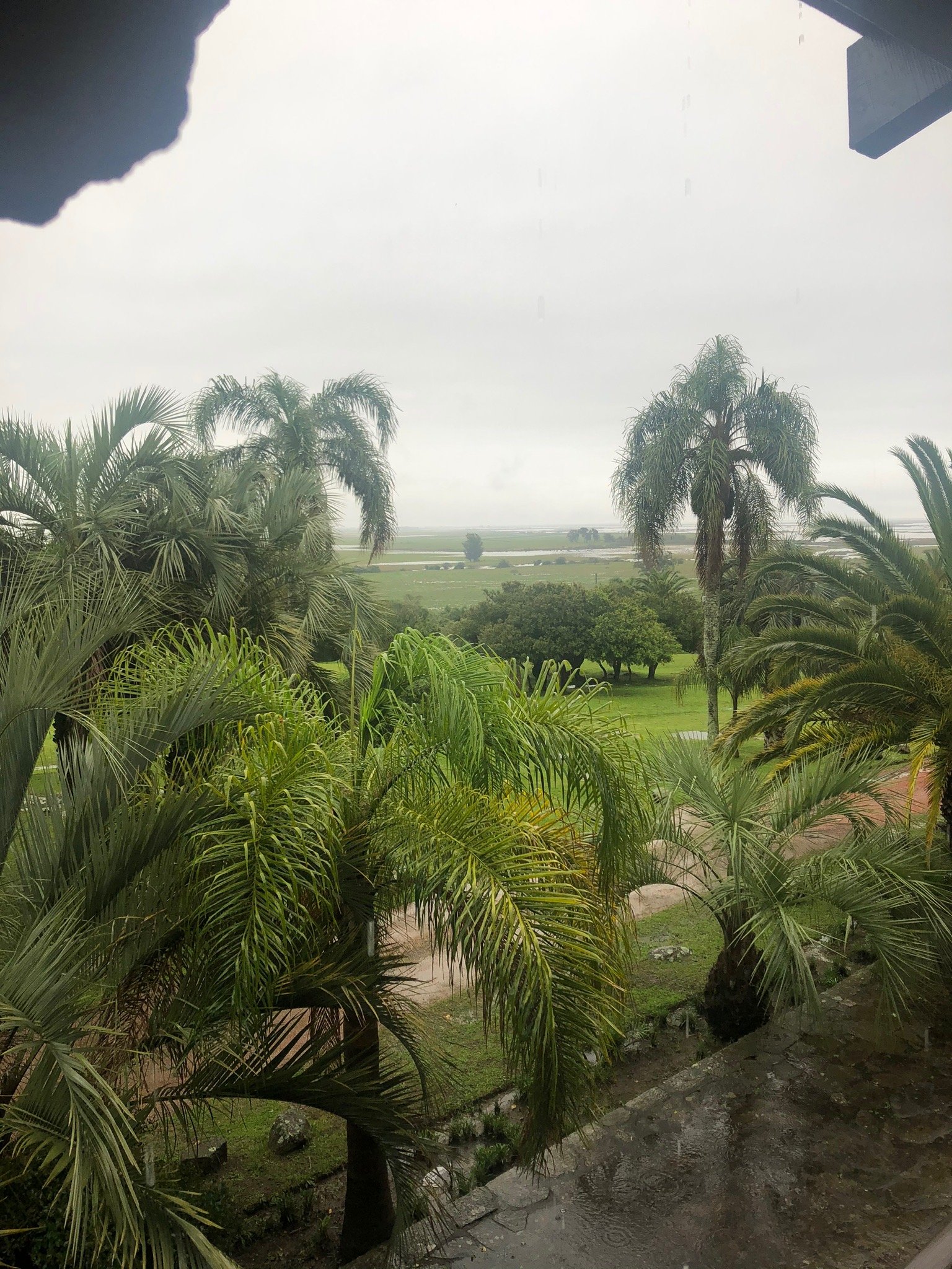 Fortin San Miguel-官方
