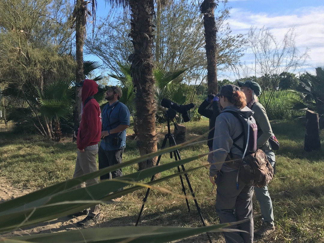 Birding La Paz