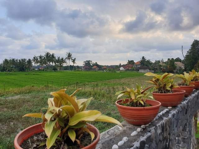 Mahasa Resort Ubud主图