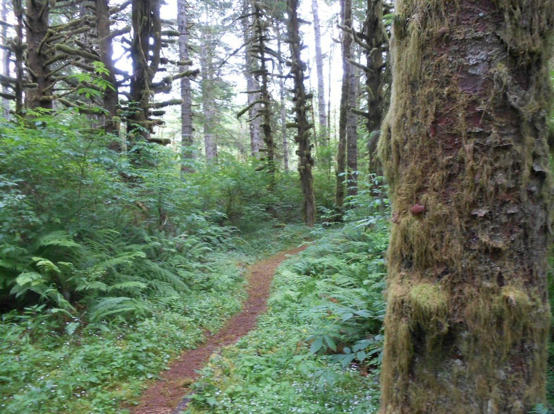 Mount Hebo Trail景点图片