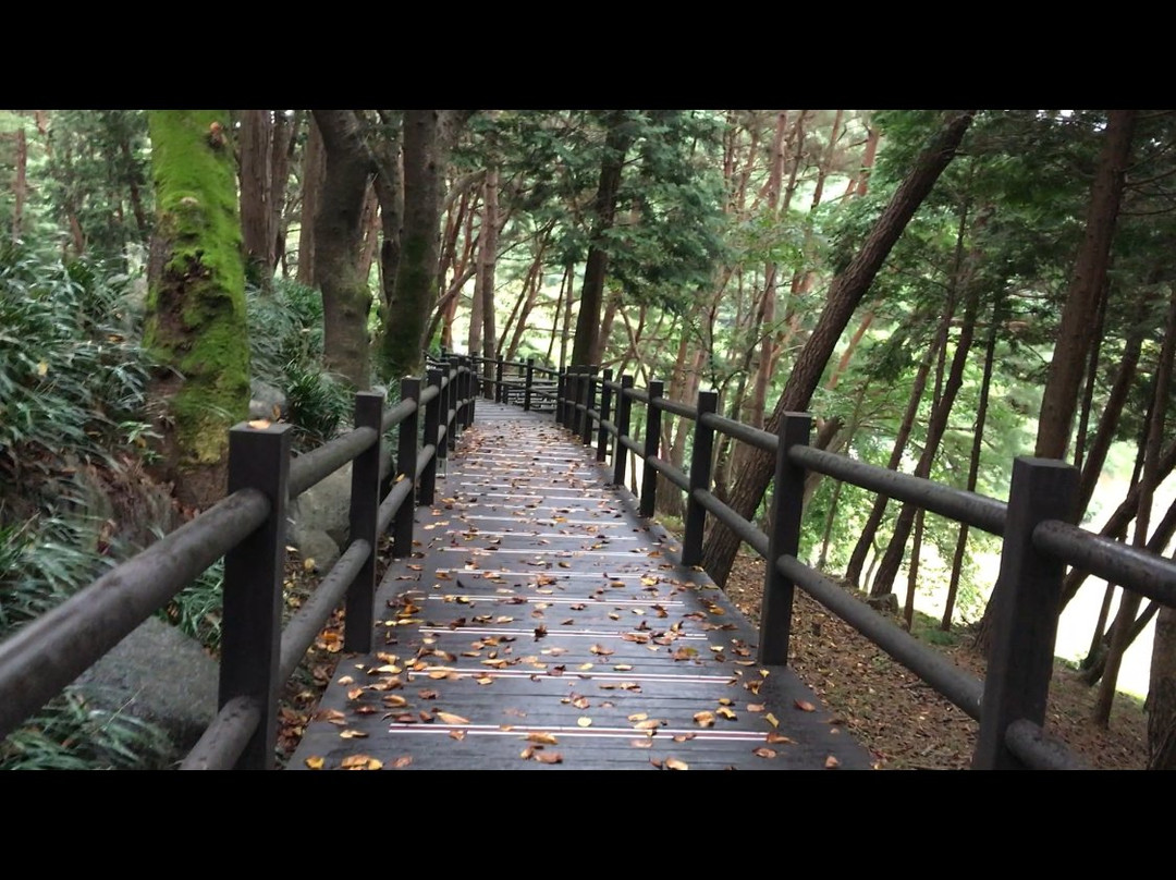 Jinyangho Zoo-晋州市必去景点